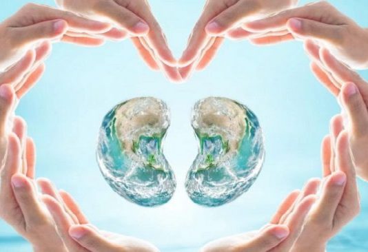 Thận là gốc của cơ thể: Dưỡng thận theo trung y giúp duy trì tinh khí để sống thọ