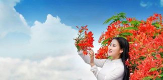 Những con Người Đất Cảng