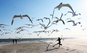 Niềm vui, ý nghĩa cuộc sống có thể tới từ những việc nhỏ nhặt giản đơn. Ảnh: Lifehacker